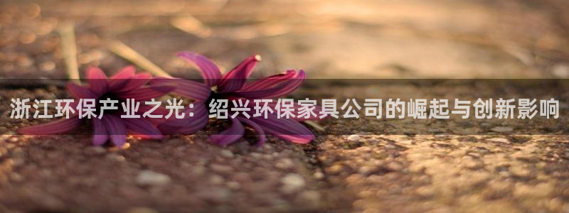 杏耀登陆：浙江环保产业之光：绍兴环保家具公司的崛起与创新影响