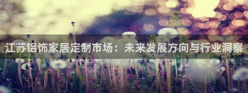 杏耀平台首页：江苏铝饰家居定制市场：未来发展方向与行业洞察