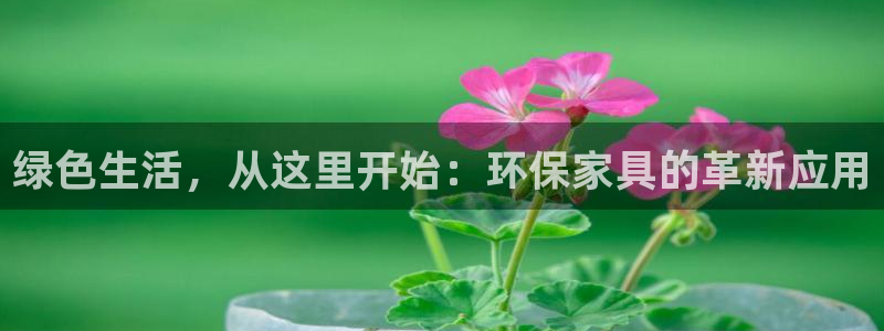 杏耀网址官网：绿色生活，从这里开始：环保家具的革新应用
