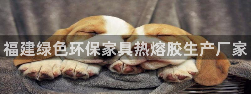 杏耀平台待遇：福建绿色环保家具热熔胶生产厂家