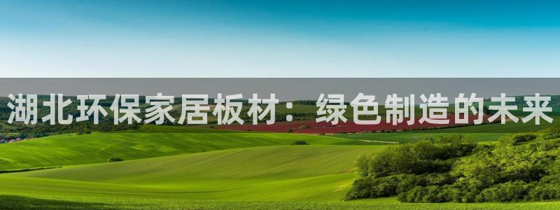 杏耀平台专用通道：湖北环保家居板材：绿色制造的未来