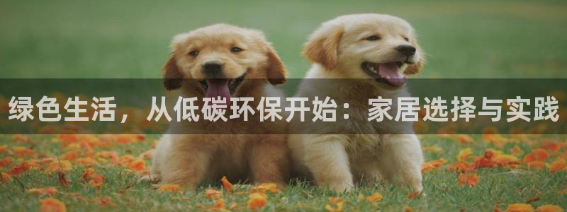 杏耀平台网页版